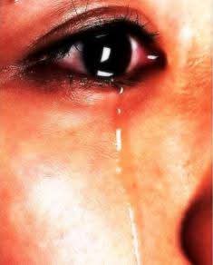 لكي نفهم الأدب (28) الأستاذ: محمدو سالم ولد جدو