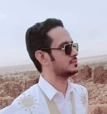محمد أحمد ولد محمد الأمين “الرجل الدولة” / محمد افو